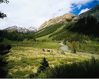 知名漫画《忍者杀手》宣布游戏化 2024年夏季发售